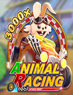 บัตร เครดิต สะสม แต้ม 2020 เล่นยังไงให้ปัง